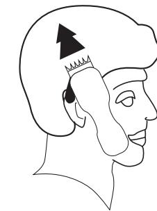 ELSAY G-9802B - Passo 5 - Acabamos - 1