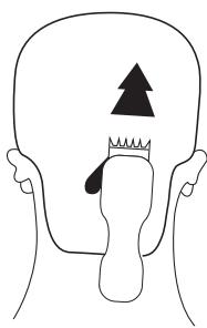 ELSAY G-9802B - Étape 2 - L'arrière - 1