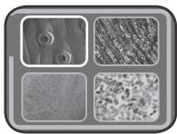 VTECH Genius XL - Microscope vidéo interactif - Jeu - 6