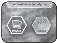 VTECH Genius XL - Microscope vidéo interactif - Lamelles illustrées - 1