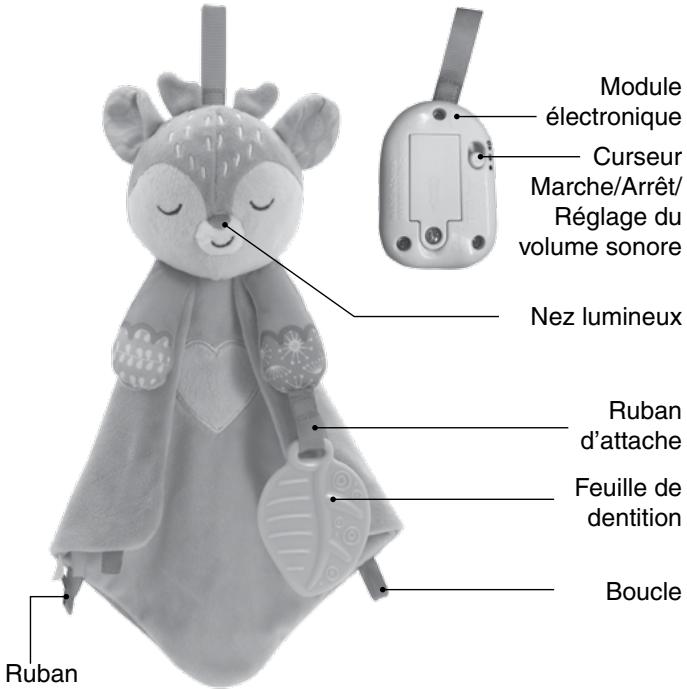 VTECH Tifan, mon doudou berceuses - Baby Loulous - INTRODUCTION - 1