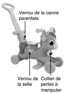VTECH Joey, mon porteur trotti-magique (5 en 1) - INTRODUCTION - 2