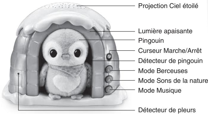 VTECH Veilleuse P'tit pingouin nuit étoilée - INTRODUCTION - 1