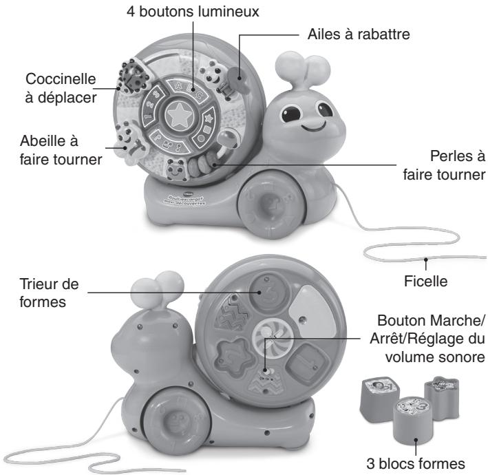 VTECH Rouli-escargot maxi découvertes - INTRODUCTION - 1