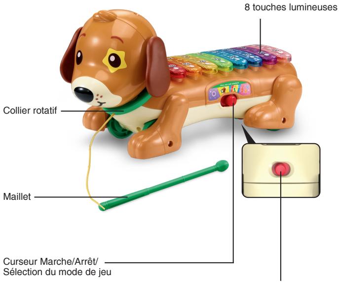 VTECH Elton, mon rouli xylophone - INTRODUCTION - 1