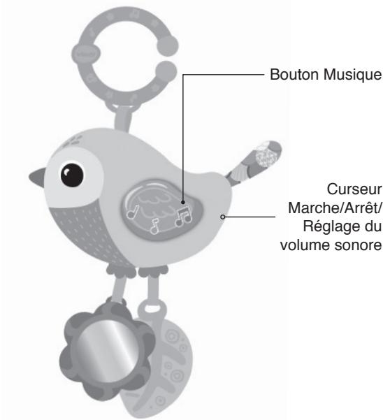 VTECH Coffret naissance Bébés animaux - INTRODUCTION - 1