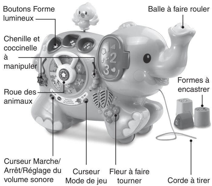 VTECH Trompette, mon éléphant des découvertes - INTRODUCTION - 1