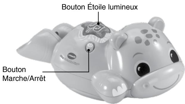 VTECH Théo, Mon hippo bébé nageur - INTRODUCTION - 1