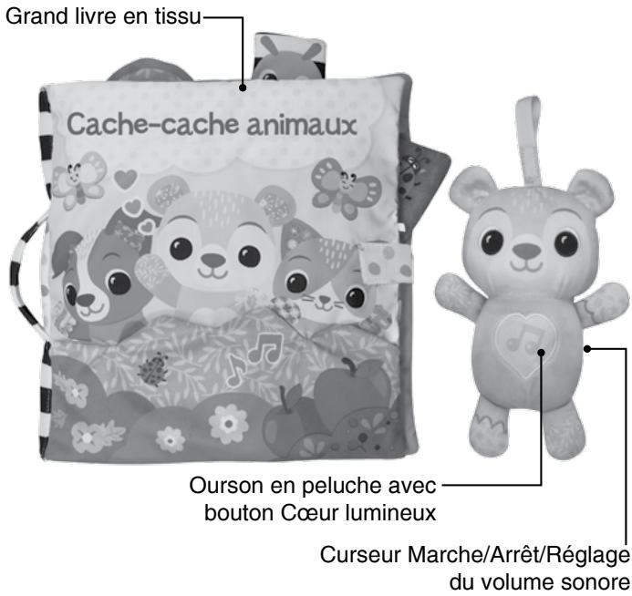 VTECH Grand livre toudoux des découvertes - INTRODUCTION - 1