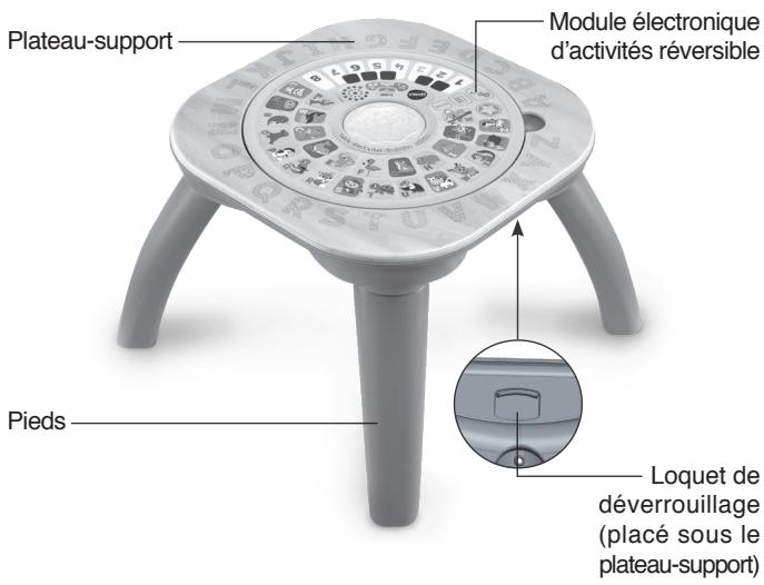 VTECH Table d'activités évolutive nature - INTRODUCTION - 1