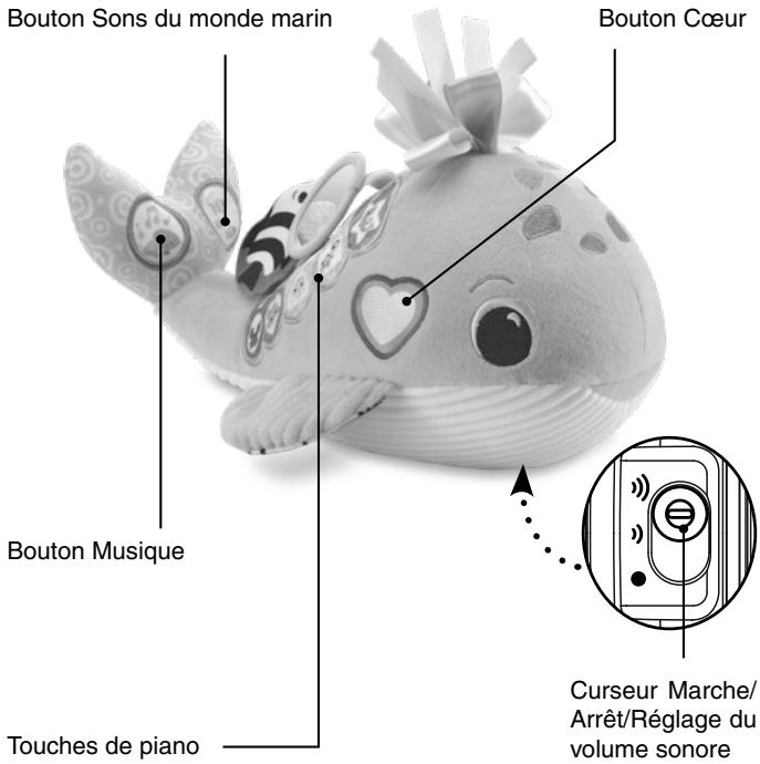 VTECH Océane, ma baleine musicale - INTRODUCTION - 1