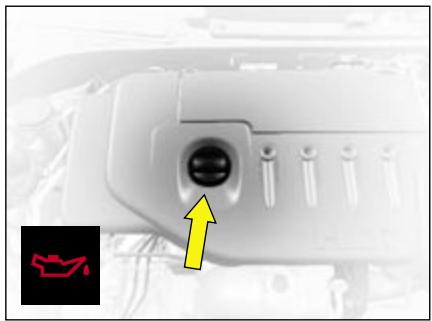 CITROEN C2 - Filtre à particules habitacle/filtre anti-odeurs - 7