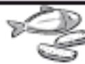 SEB FILTRA PRO INOX ET DESIGN - INOX & DESIGN - 58