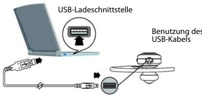 SIEMENS GIGASET ZX600 - Aufladen des eingebauten Akkus - 2