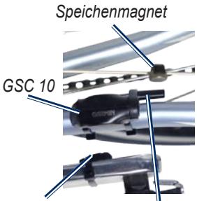 GARMIN GSC 10 - GSC 10 auf der hinteren Kettenstrebe - 2