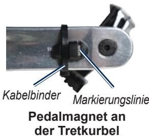 GARMIN GSC 10 - GSC 10 auf der hinteren Kettenstrebe - 1