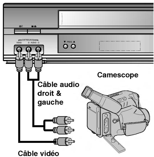 ENTREJAVIS VIDEO G AUDIO - D PROG Câble audio droit & gauche Câble vidéo Camescope
