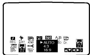 REC SET ACMS AUTO 4.3 16.9 A B SD Dr.