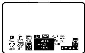 REC SET ACMS AUTO 4-3 16.9 AUDIO OFF A B C D Dr.
