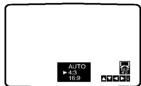 AUTO ▶4:3 16:9