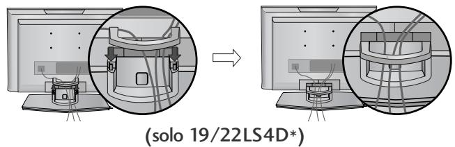 LG 322000-ZA.BETPLJG - DISTACCARE IL CAVALLETTO - 14