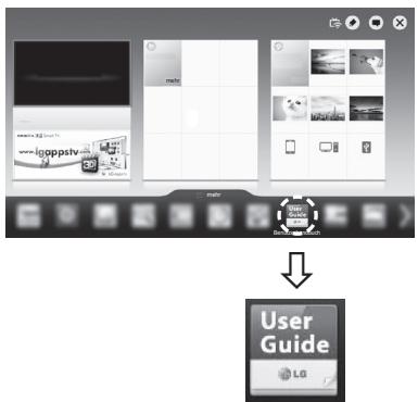 www.goppstv User Guide