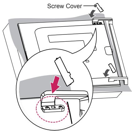 Screw Cover