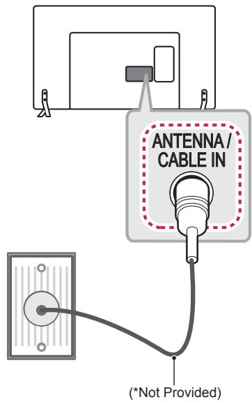 ANTENNA/ CABLE IN (*Not Provided)