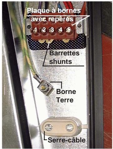 CANDY PVC220 - RACCORDEMENT AUX BORNES DE LA PLAQUE : - 2