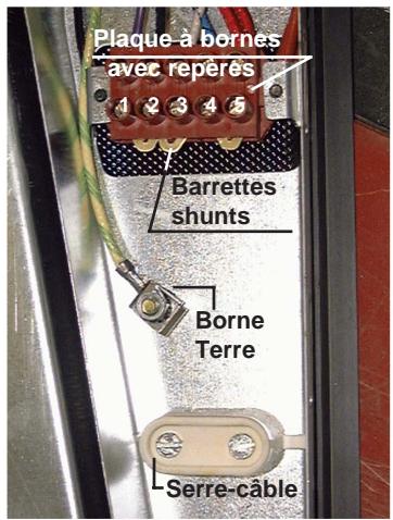 CANDY PVC310 - RACCORDEMENT AUX BORNES DE LA PLAQUE : - 2