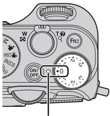 NIKON COOLPIX P7700 - Réglage de la luminosité (Correction de l'exposition) - 1