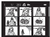 NIKON COOLPIX S6200, COOLPIX S6500 - Affichage par planche d'imagettes, affichage du calendrier - 3