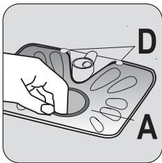 D A