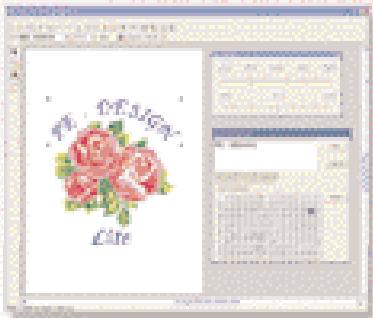 BROTHER PE-DESIGN LITE - Voici ce que le pe-design lite peut vous offrir ! - 1