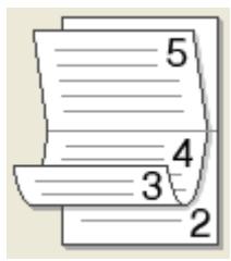 BROTHER HL-1110 - - Type de recto versus - 1