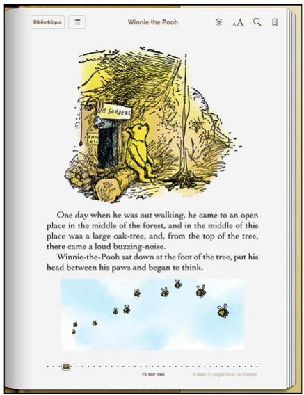 APPLE IPAD 2 - Lecture de livres - 1