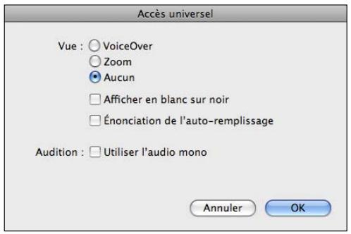 APPLE IPAD 2 - Fonctionnalités d'accès universel - 1