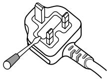PIONEER DVD-V8000 - IMPORTANT: THE MOULDED PLUG - 1