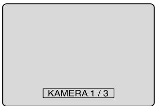 PIONEER DVR-RT400-S - Perspektive verändern - 1