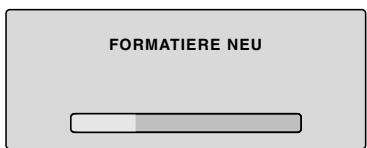 PIONEER DVR-RT400-S - NEU FORMATIEREN - 2