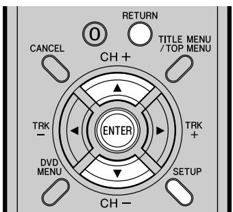 PIONEER DVR-RT400-S - Verwendung des SETUP-MENÜS - 1