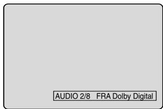 PIONEER DVR-RT400-S - Sprache der Disk ändern - 2