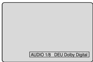 PIONEER DVR-RT400-S - Sprache der Disk ändern - 1