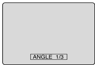 PIONEER DVR-RT400-S - Changement de l'angle - 1