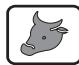 SAUTER SFP770XI - FISH - 1