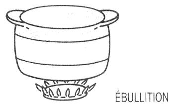 SAUTER G4900I - POUR L'UTILISATION DES BRULEURS GAZ - 1