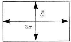 49 cm 75 cm