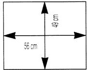 49 cm 56 cm