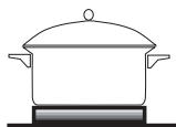 SAUTER STE 604 WF1 - FOCOS ELECTRICOS - 2