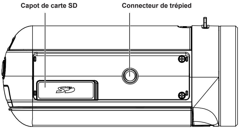TOSHIBA CAMILEO X200 - Vue de côte/arrière - 2